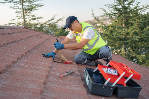 Best Roof Replacement Cost  in East Lake, FL