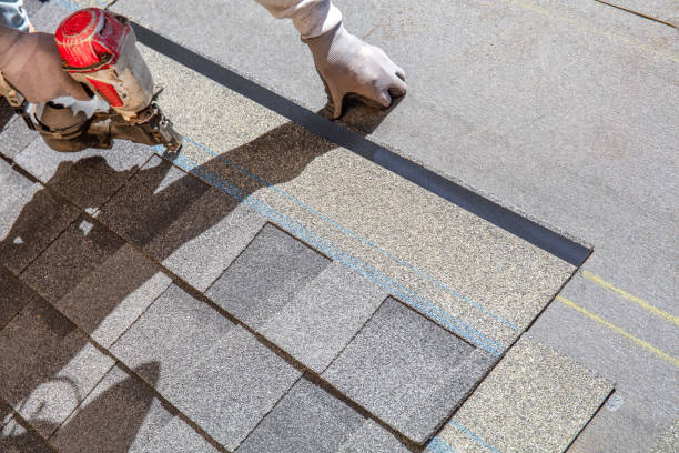 Quick and Trustworthy Emergency Roof Repair Services in East Lake, FL
