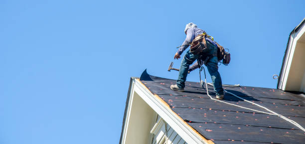 Best Gutter Installation and Roofing  in East Lake, FL